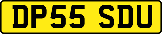 DP55SDU
