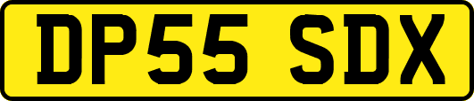 DP55SDX