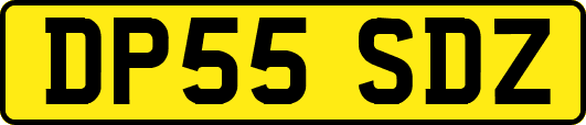 DP55SDZ