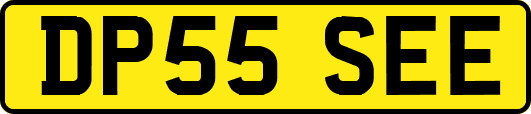 DP55SEE