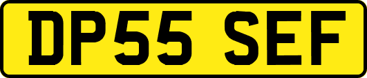 DP55SEF