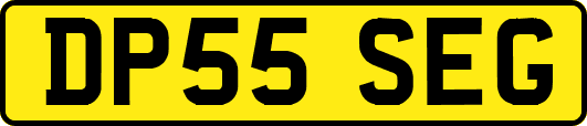 DP55SEG
