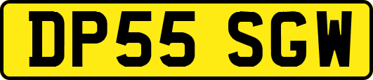 DP55SGW