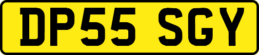 DP55SGY