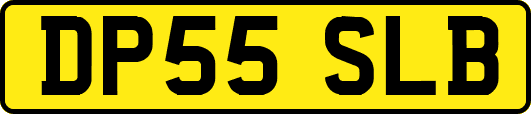 DP55SLB