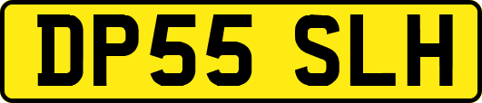DP55SLH