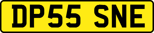 DP55SNE