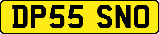 DP55SNO