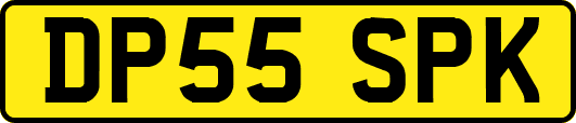 DP55SPK