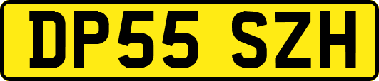 DP55SZH