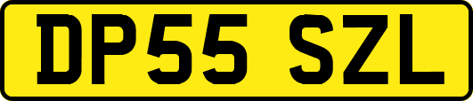 DP55SZL