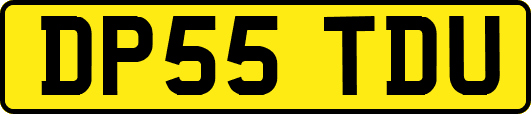 DP55TDU