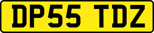DP55TDZ