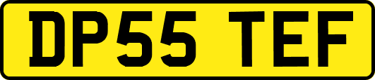 DP55TEF