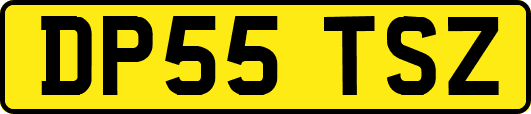 DP55TSZ