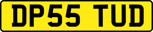 DP55TUD