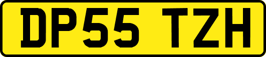 DP55TZH