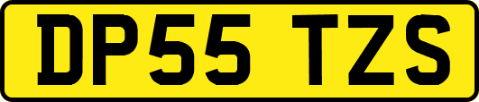 DP55TZS