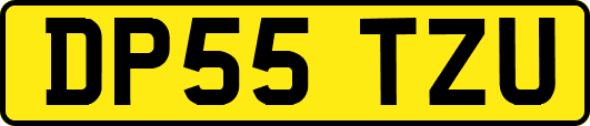 DP55TZU