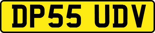 DP55UDV