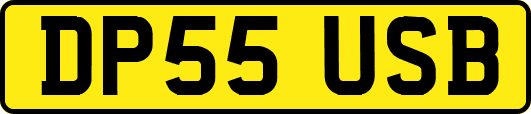 DP55USB