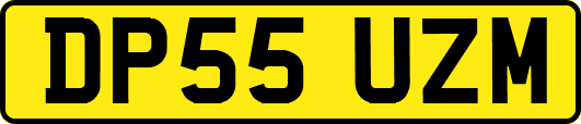DP55UZM