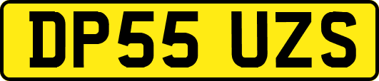 DP55UZS