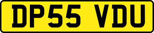 DP55VDU