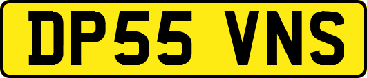 DP55VNS