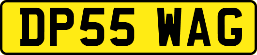 DP55WAG