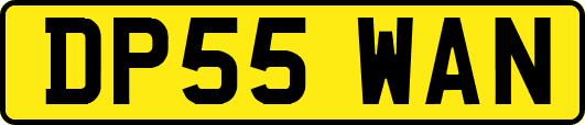 DP55WAN