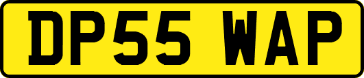 DP55WAP