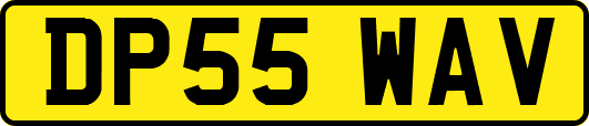 DP55WAV