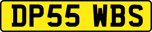 DP55WBS