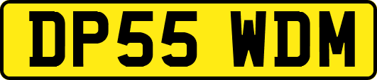 DP55WDM