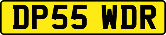 DP55WDR