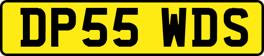 DP55WDS