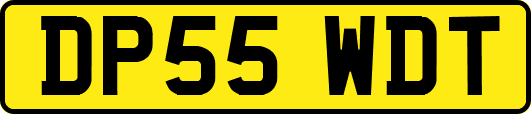 DP55WDT