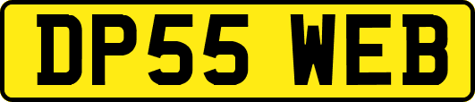 DP55WEB
