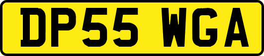 DP55WGA