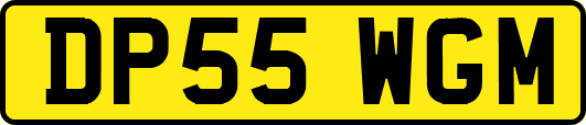 DP55WGM