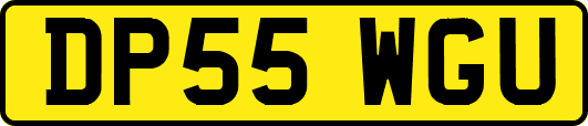 DP55WGU