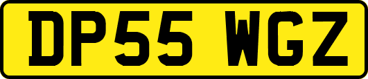 DP55WGZ