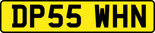 DP55WHN