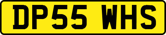 DP55WHS