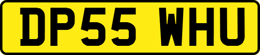 DP55WHU