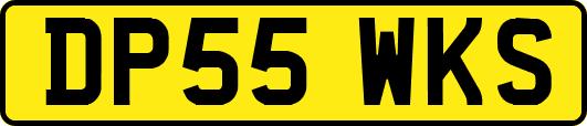 DP55WKS