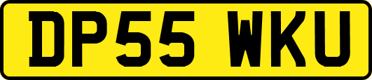 DP55WKU
