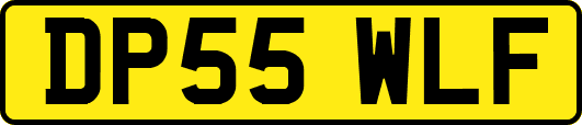 DP55WLF