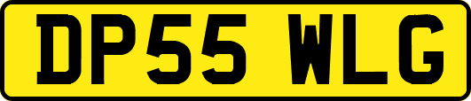 DP55WLG